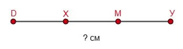 Отрезок DY с точками X и M