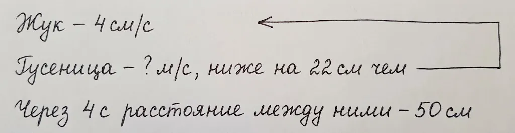 Схема движения жука и гусеницы