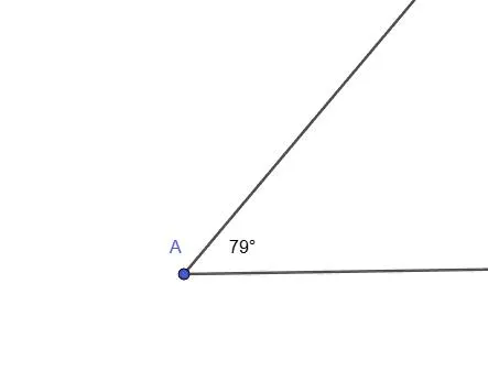 Пересекающиеся прямые под углом 79 градусов